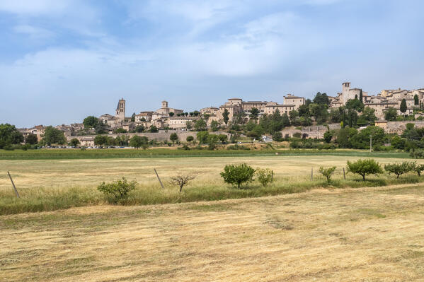 Aerial view of the town of Spello in spring. Spello, Perugia district, Umbria, Italy, Europe.