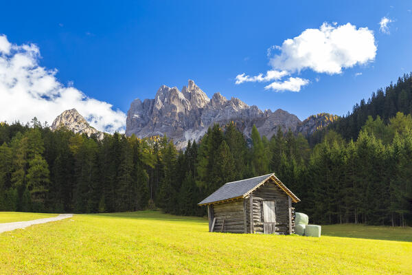 View of Picco di Vallandro in autumn season. Europe, Italy, South Tyrol, Braies valley, Bolzano province, Braies municipality.