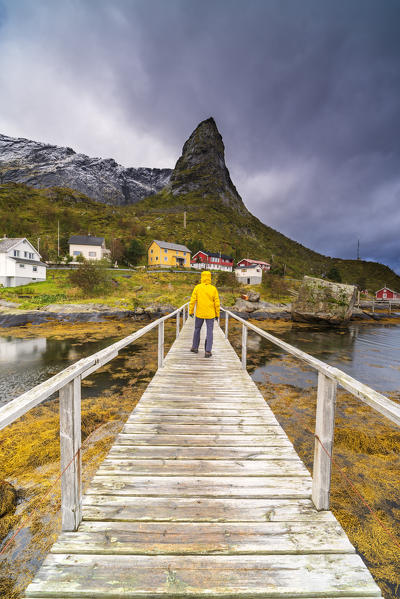 Hiker admiring Hammarskaftet mountain from the wood walkway, Reine, Nordland, Lofoten Islands, Norway