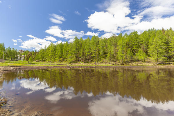 Trees mirrored in Laghetto Di Gualdera during spring, Campodolcino, Spluga Valley, Sondrio province, Valtellina, Lombardy, Italy