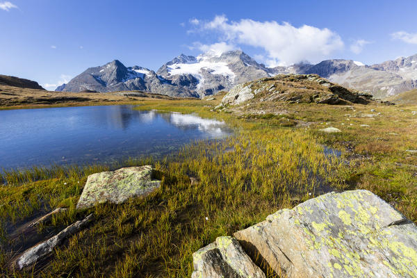 Piz Cambrena mirrored in the alpine lake, Val Dal Bugliet, Bernina Pass, canton of Graubunden, Engadine, Switzerland