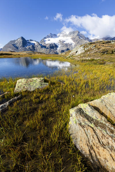 Piz Cambrena mirrored in the alpine lake, Val Dal Bugliet, Bernina Pass, canton of Graubunden, Engadine, Switzerland