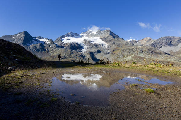 Hiker admiring Piz Cambrena from lake shore, Val Dal Bugliet, Bernina Pass, canton of Graubunden, Engadine, Switzerland