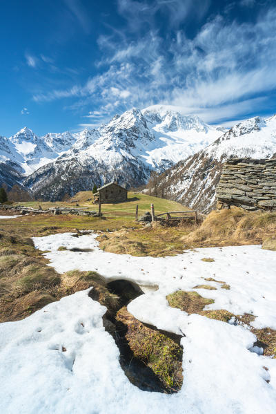 Alpe Oro in spring with snow capped Monte Disgrazia in background, Valmalenco,  Valtellina, Sondrio province, Lombardy, Italy