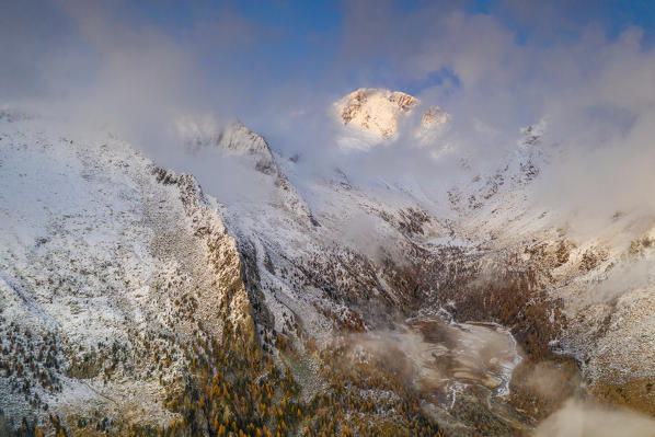 Aerial view of larch trees on snowy ridge of Monte Disgrazia covered by mist, Preda Rossa, Val Masino, Valtellina, Lombardy, Italy