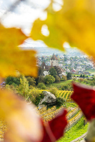 Spiez Castle framed by vine leaves in autumn, canton of Bern, Switzerland