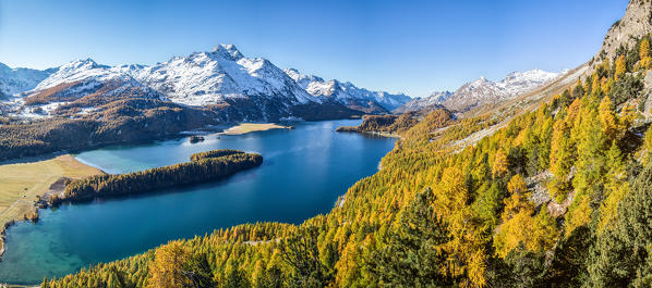 A panoramic view of Lake Sils surrounded by larches in their autumnal colours, Engadine, Switzerland