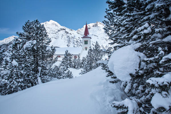 The Church of Saint Gaudenzio surrounded by pines covered with snow at the  blue hour, Engadine, Switzerland