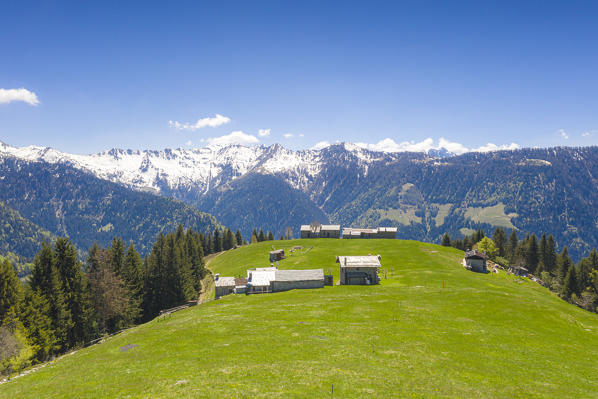 Stone huts framed by green meadows and Orobie Alps in background, Corte Grassa, Albaredo Valley, Valtellina, Lombardy, Italy