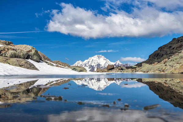 Mount Disgrazia reflected in Lake Campagneda, Valmalenco, Valtellina Lombardy Italy Europe Italy 