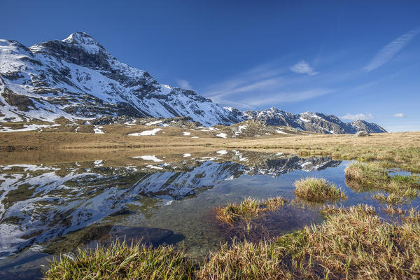 Reflections at Lake Campagneda, Valmalenco, Valtellina Lombardy Italy Europe Italy 