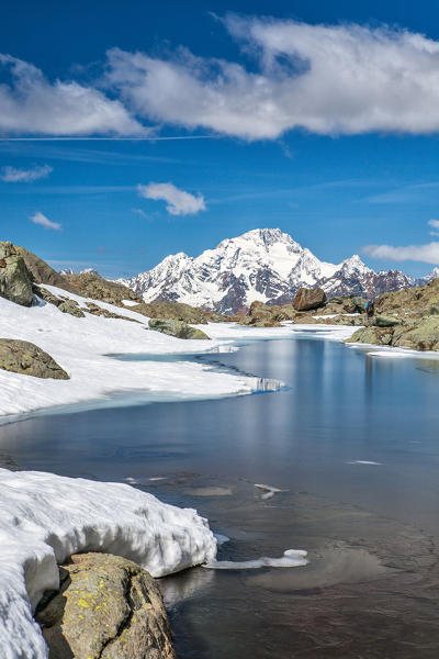 Hiker admires Lake Campagneda, Valmalenco. Valtellina Lombardy Italy Europe Italy 