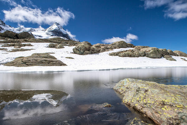 View of Lake Campagneda completely frozen with Pizzo Scalino in the background Valmalenco, Valtellina Lombardy Italy Europe