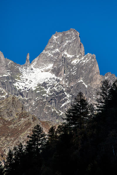 View of Pizzo Torrone with its rock pinnacle. Valmasino, Lombardy, Italy Europe