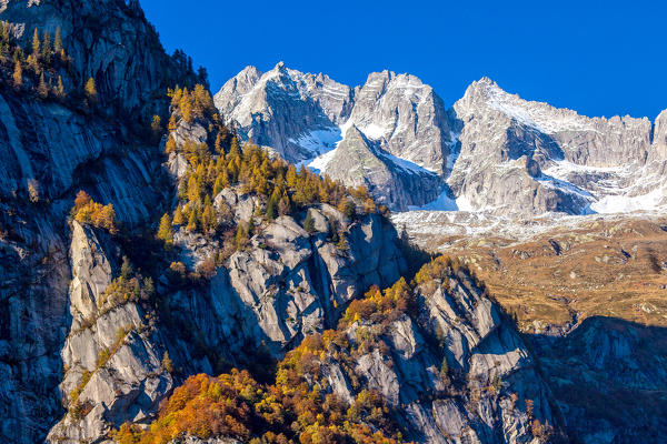 Autumn colors San Martino Valmasino, Lombardy, Italy Europe