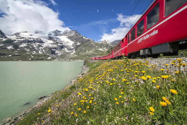 The unpolluted nature seen travelling on the Red Train of Bernina. Bernina Pass, Engadine, Canton of Graubunden, Swizterland Europe