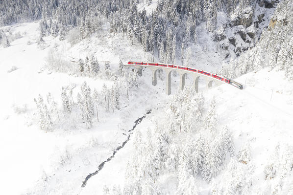 Bernina Express train on Landwasser viaduct framed by snow capped woods, Filisur, canton of Graubunden, Switzerland