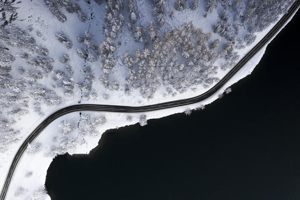 Empty road through winter forest covered with snow on shores of Lake Sils from above, Graubunden canton, Engadin, Switzerland
