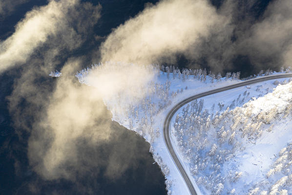 Road crossing the snowy woods on shores of frozen Lake Sils at dawn, Plaun Da Lej, aerial view, Engadin, Switzerland