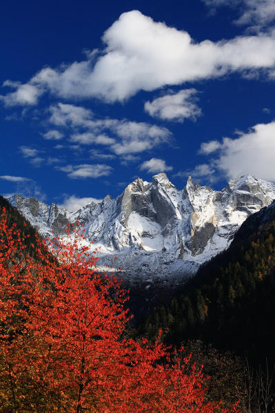 Group of the Sciore covered in snow in autumn. Bondo, Bregaglia Valley, Canton of Graubunden, Switzerland Europe