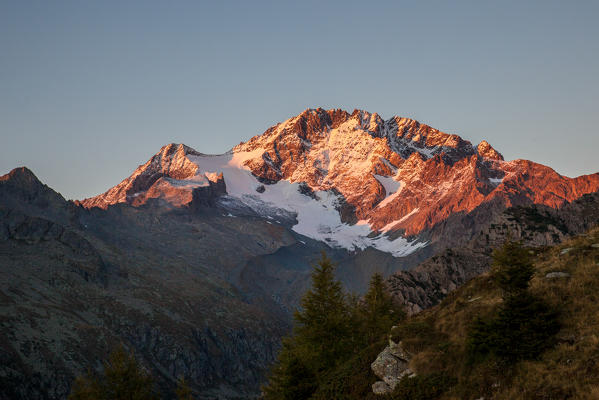 Sunset on the southernside of Mount Disgrazia. Scermendone Alp Raethian Alps, Valtellina, Lombardy, Italy Europe