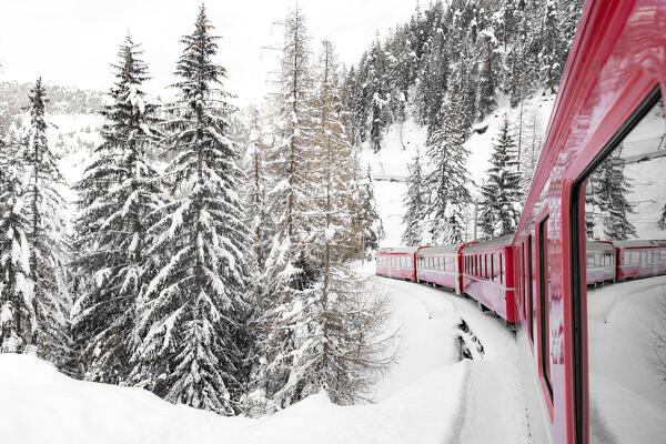 Winter landscape after a blizzard seen during a journey on board of Bernina Express train, Graubunden canton, Switzerland