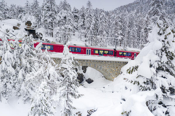 Bernina Express train crossing the winter forest covered with snow, Morteratsch, canton of Graubunden, Engadin, Switzerland