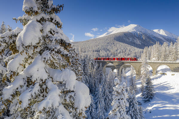 Trees covered with snow surrounding the red Bernina Express train in winter, Chapella, Graubunden canton, Engadine, Switzerland