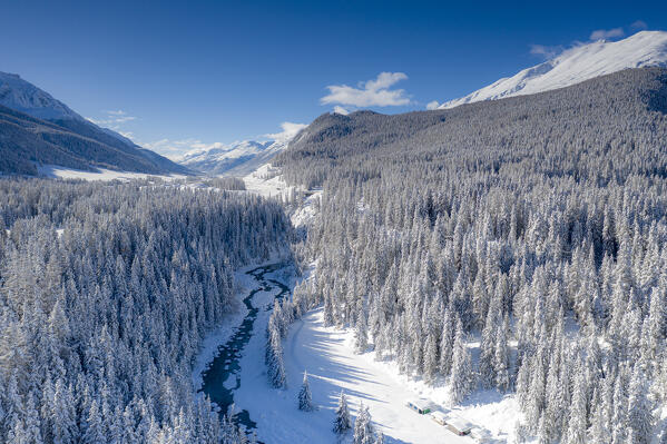 Clear winter sky on frozen river and trees in the forest covered with snow, Graubunden canton, Engadine, Switzerland