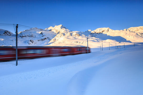 The red train of Bernina whizzes through the snow at the Bernina pass at dawn. Engadine. Canton of Graubunden. Switzerland.