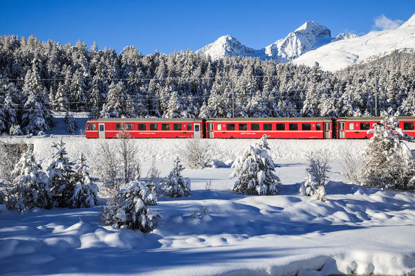 The Red Bernina train in winter in the snowy landscape of Engadine. Switzerland.
