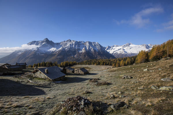 Alpine huts in Entova Alp lighted by the autumn sun Malenco Valley Sondrio province Valtellina Lombardy Italy Europe