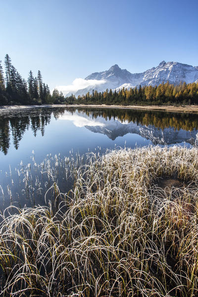 Grass covered in frost on the shores of Entova Lake. Valmalenco, Valtellina, Lombardy, Italy Europe