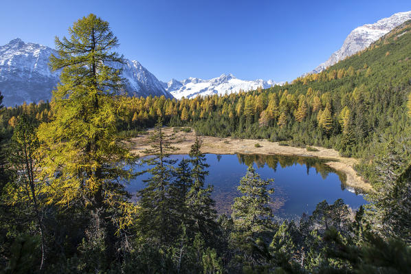 View of the colours of autumn at Entova Lake. Valmalenco, Valtellina, Lombardy, Italy Europe