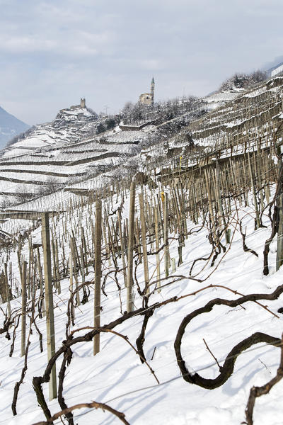 Rays of sun light up the vineyards of Sassella with Castel Grumello and the church of Montagna in the background. Montagna, Valtellina, Lombardy, Italy Europe