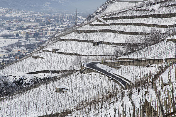 A tortuous street surrounded by the vineyards of Valtellina covered in snow. Valtellina, Lombardy, Italy Europe