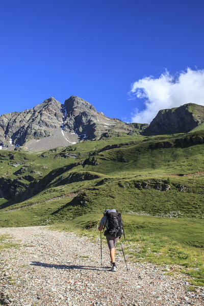 Hiker walking through a path in Val Febbraro. Val Febbraro, Vallespluga, Valchiavenna,Valtellina Lombardy Italy Europe