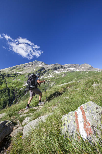 Hiker trekking in Val Febbraro. Vallespluga, Valchiavenna,Valtellina Lombardy Italy Europe