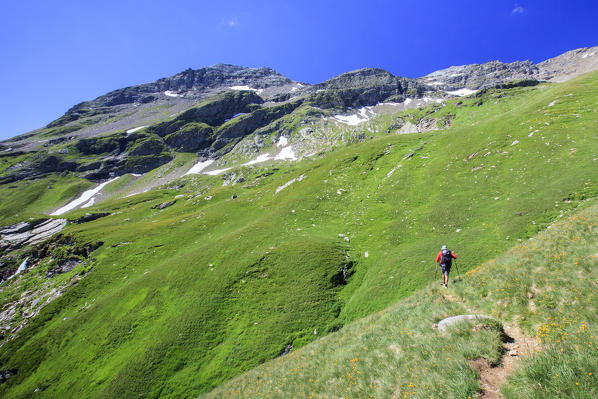 Hiker walking through a path in Val Febbraro. Vallespluga, Valchiavenna,Valtellina Lombardy Italy Europe