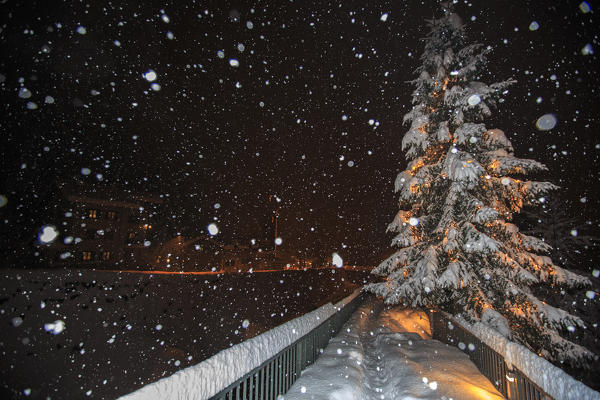 Snowfall near Campodolcino. Vallespluga, Valchiavenna, Valtellina Lombardy Italy Europe