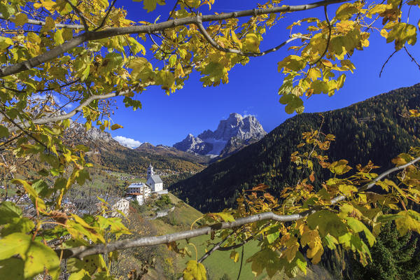 Autumnal landscape in Fiorentina Valley. Cadore. Veneto. Italy. Europe