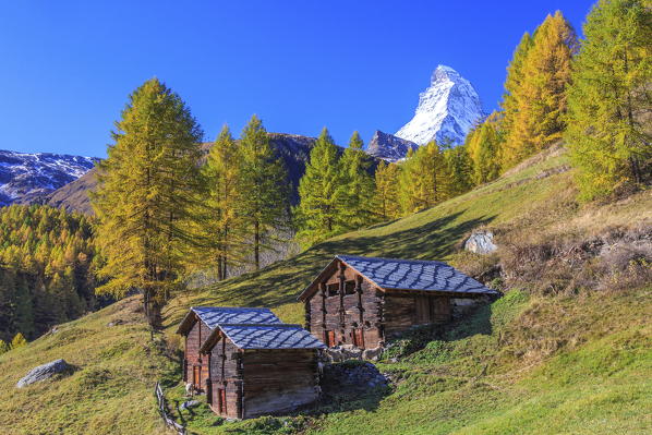 Huts on the pastures of Zermatt surrounded by yellowed larches and the Matterhorn. Switzerland. Europe 