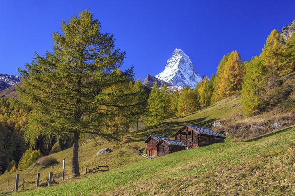 Huts on the pastures of Zermatt surrounded by yellowed larches and the Matterhorn. Switzerland. Europe