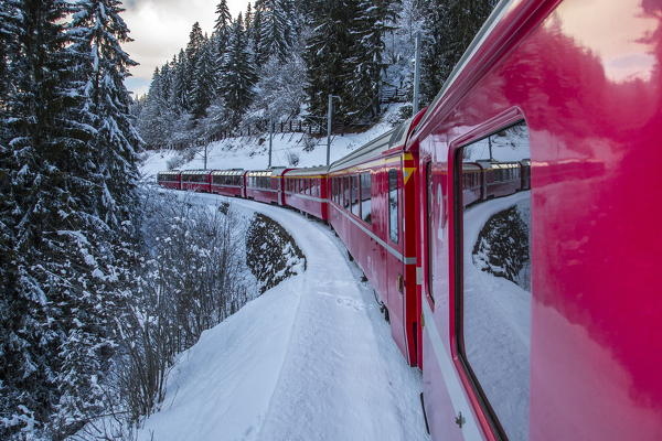 The windows of the red train reflecting the landscape of snowy woods of Sankt Moritz. Filisur. Canton of Graubunden. Engadine. Switzerland.