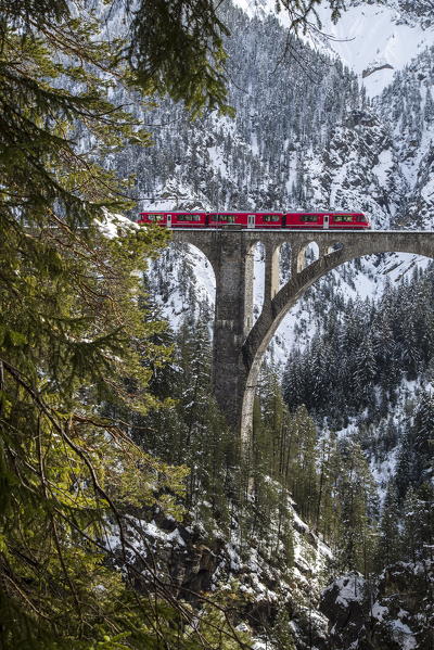 The red train on the Wiesener Viadukt surrounded by woods. Engadine. Canton of Graubuenden. Switzerland. Europe.