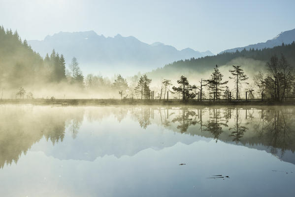 Adamello Group is mirrored at Pian di Gembro. Aprica. Valcamonica. Valtellina. Lombardy. Italy. Europe