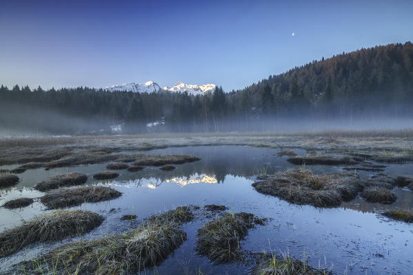 Orobie Alps are reflected in the peat bog of Pian di Gembro. Aprica. Valcamonica. Valtellina. Lombardy. Italy. Europe