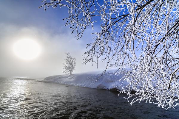 The sun filters through the dense fog surrounding Sils. Engadine. Switzerland. Europe