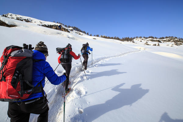 Snowshoe hikers walking along a track above the Maloja Pass. Engadine. Switzerland. Europe