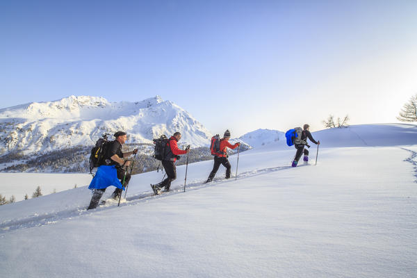 Snowshoe hikers are advancing in the fresh snow. Maloja Pass. Engadine. Switzerland. Europe